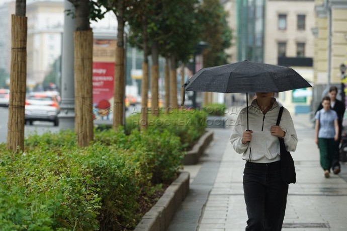 Облачная погода, дождь и до плюс 11 ожидаются в столичном регионе 19 октября