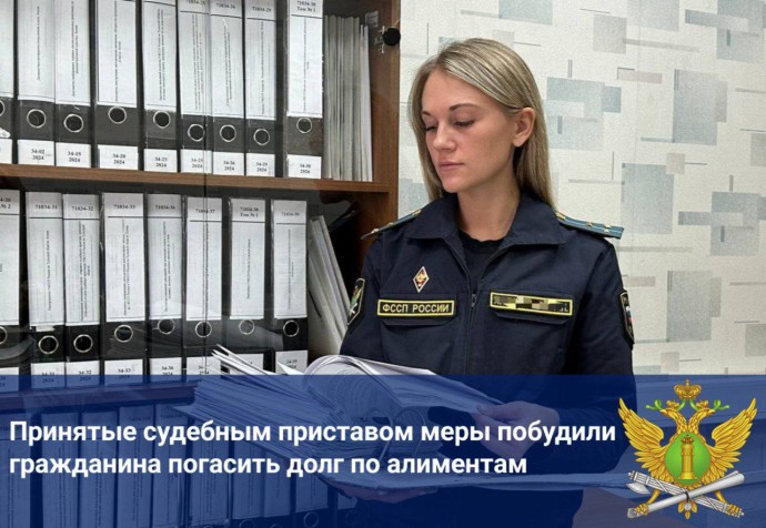 Туляк выплатил 138 тысяч рублей алиментов после ареста счетов