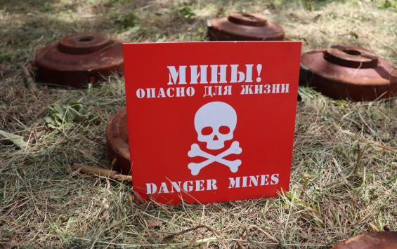 В Курской области сапёры очистили от мин свыше 105 тысяч гектаров В Курской области сапёры очистили от мин свыше 105 тысяч гектаров