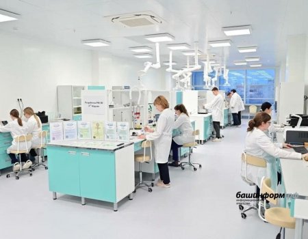 Четыре университета в Уфе заявились на участие в госпрограмме «Приоритет 2030»