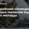 В Уссурийский заповедник в Приморье перевезли еще одного леопарда