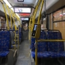 ​Увеличено число автобусных рейсов до нового зоопарка в Перми