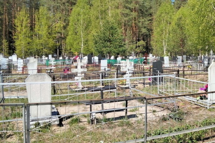 Священники объяснили, какие цветы следует приносить на могилу усопших