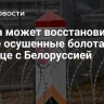 Литва может восстановить ранее осушенные болота на границе с Белоруссией