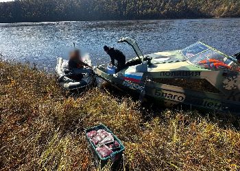 В Приамурье задержали браконьеров с мясом изюбря В Приамурье задержали браконьеров с мясом изюбря