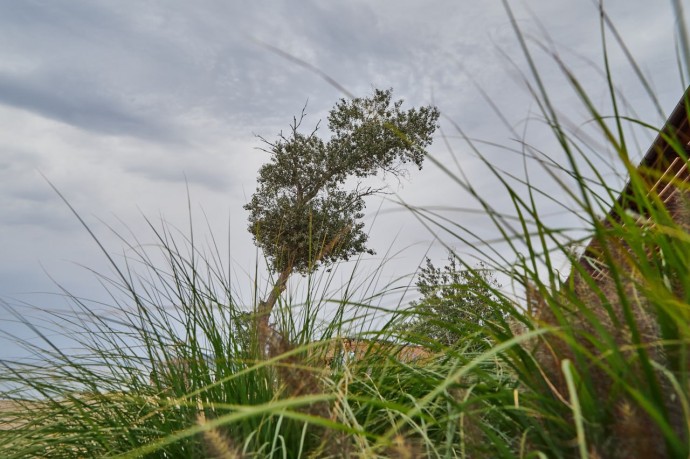 Какая погода ожидает пензенцев 15 октября? Какая погода ожидает пензенцев 15 октября?