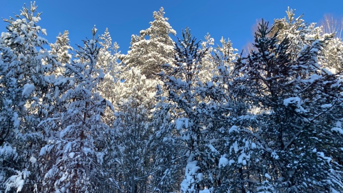 В Башкирии дали неожиданный прогноз погоды с октября по март В Башкирии дали неожиданный прогноз погоды с октября по март