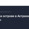 Пожар на острове в Астрахани потушен