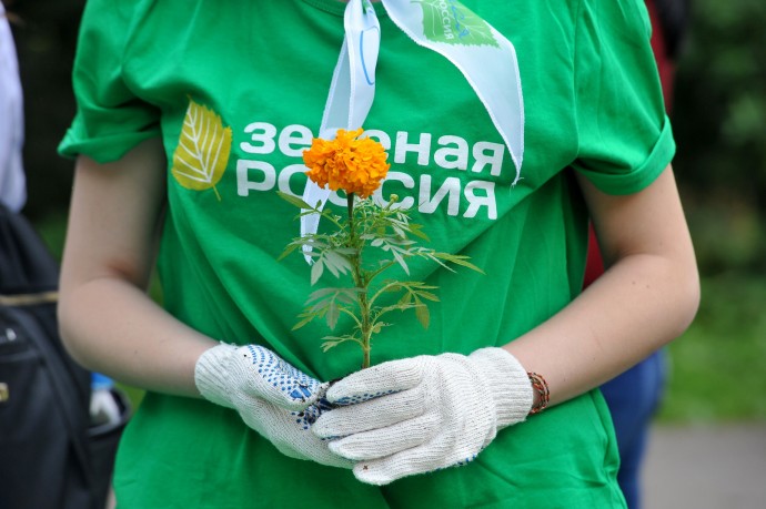 Эковолонтёрам начислят от 1 до 10 дополнительных баллов к результатам ЕГЭ