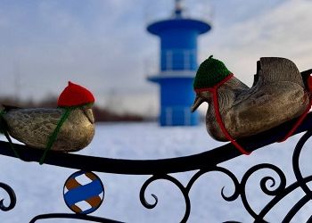 В Приамурье бронзовым уткам-мандаринкам подарили вязаные шапочки