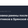 Два человека ранены после атаки беспилотников в Брянской области