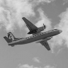 Траур объявлен в Амурской области в связи с крушением Ан-24