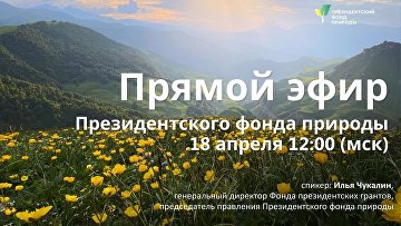 Президентский фонд природы расскажет в эфире об условиях конкурса