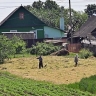 Россиянам назвали грозящие уголовным наказанием грибы и растения на дачах