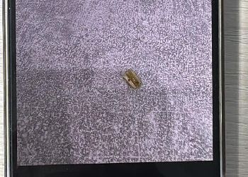 Амурчанин заподозрил, что стал жертвой аферы, сняв квартиру в Благовещенске Амурчанин заподозрил, что стал жертвой аферы, сняв квартиру в Благовещенске