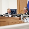 Новгородскую инициативу о поддержке детей-сирот отправят в Госдуму