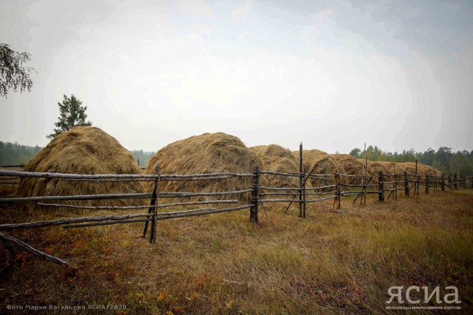 В Нюрбинском районе Якутии нашли пропавшего подростка