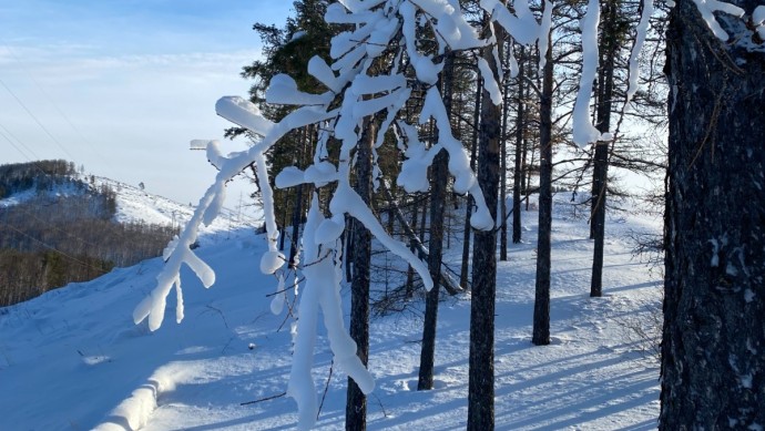 Когда в Башкирии похолодает и выпадет снег
