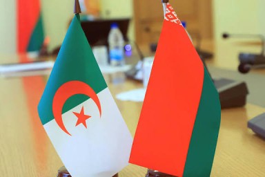 Белоруссия намерена расширить военное сотрудничество с еще одной страной Африки