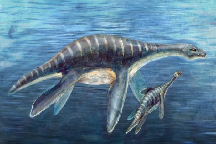 Немецкие палеонтологи обнаружили новый вид ихтиозавров с необычно мощными рёбрами