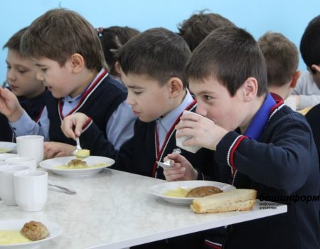 В Башкирии родители школьников смогут получить кешбэк за питание