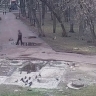 В Ярославле задержали курьера мошенников, обманувших пенсионера на 2,6 млн