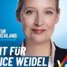 Шок в Берлине: AfD сократила отставание от ХДС до минимума