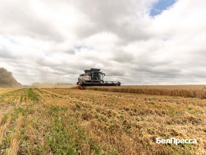 Михаил Мишустин сообщил о дополнительной поддержке белгородских аграриев Михаил Мишустин сообщил о дополнительной поддержке белгородских аграриев