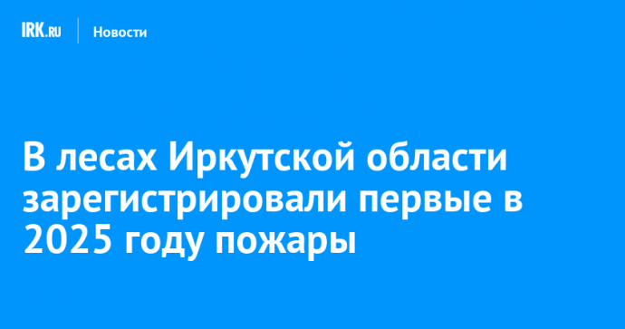 В лесах Иркутской области зарегистрировали первые в 2025 году пожары