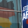 В Германии выразил несогласие с критикой Рубио решения признать АдГ экстремистской