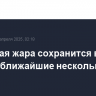 Июньская жара сохранится в Москве ближайшие несколько дней