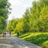 Новый прогулочный маршрут вдоль Москвы-реки (видеографика)