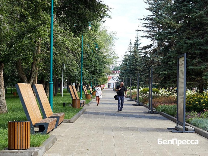 Белгородские зарплаты в 2025 году выросли на 16 %