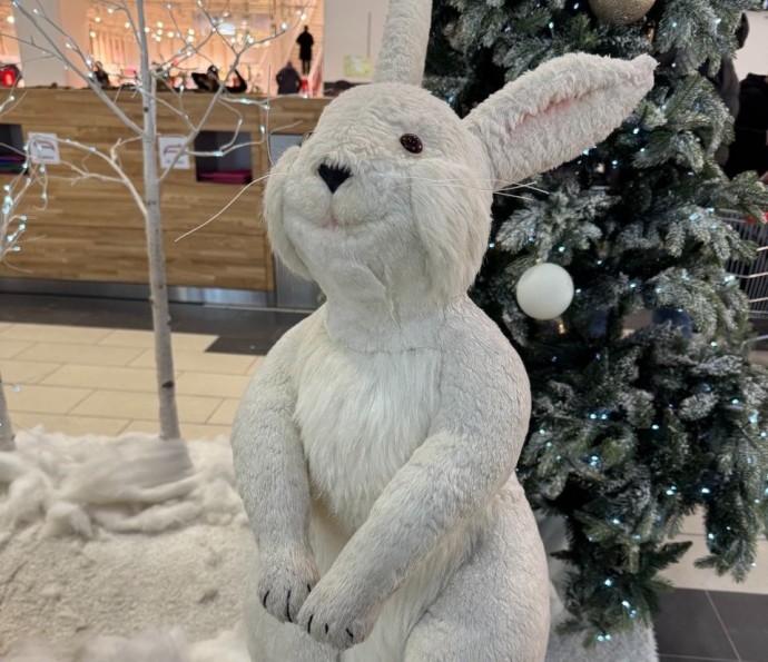 Семьи с детьми в декабре получат выплаты