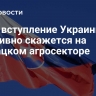 СМИ: вступление Украины в ЕС негативно скажется на словацком агросекторе