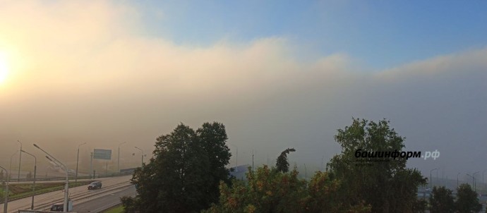 На Башкирию опустится плотный туман