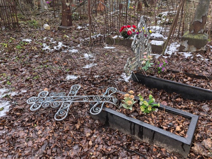 Михаил Евраев прокомментировал разгром на Донском кладбище в Ярославле