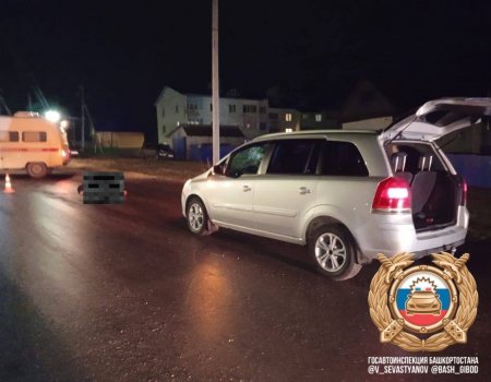 В Башкирии пешеход погиб под колесами иномарки В Башкирии пешеход погиб под колесами иномарки