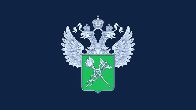 Вячеслав Володин поздравил таможенников с профессиональным праздником