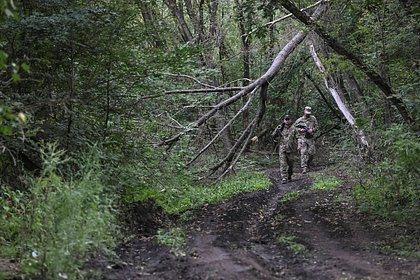 Поведение Запада вызвало гнев бойцов ВСУ