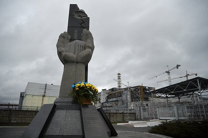 26 апреля: какой праздник отмечают в России и мире 26 апреля: какой праздник отмечают в России и мире