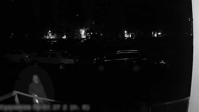 Конфликт из-за кошек: жители дома на проспекте Ударников рассказали о животных, погибших от рук соседки