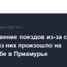 Столкновение поездов из-за схода одного из них произошло на Транссибе в Приамурье