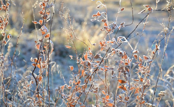 Ещё одно "минусовое" утро: температура воздуха в Южно-Сахалинске опустилась до -2 градусов