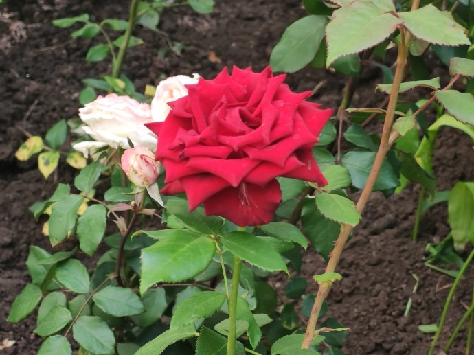 В Башкирии погода в августе и сентябре будет аномальной В Башкирии погода в августе и сентябре будет аномальной