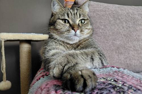 Девы всерьез задумаются о смене работы, Скорпионы потеряют выгодную позицию по собственной вине