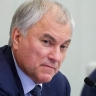 Вячеслав Володин предложил обратиться в Генпрокуратуру и ФСБ по вопросу законности деятельности структур, работавших на Байкале на иностранные гранты