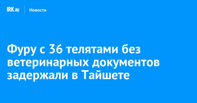 Фуру с 36 телятами без ветеринарных документов задержали в Тайшете