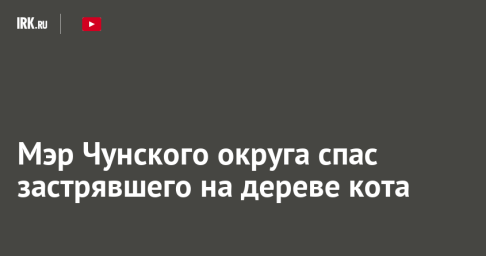 Мэр Чунского округа спас застрявшего на дереве кота