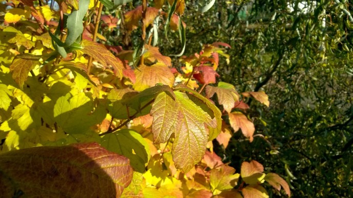 В Башкирии погода сильно удивит В Башкирии погода сильно удивит